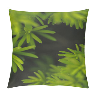 Personality  Dark Floral Background With Green Plant Leaves  Pillow Covers