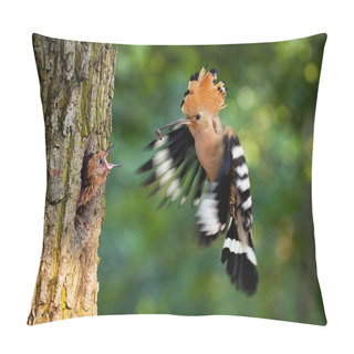 Personality  Eurasian Hoopoe Breeding In Nest Inside Tree And Feeding Young Chick Pillow Covers
