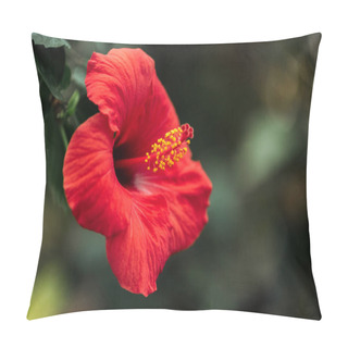 Personality  Close Up View Of Red Flower With Green Leaves On Blurred Background Pillow Covers