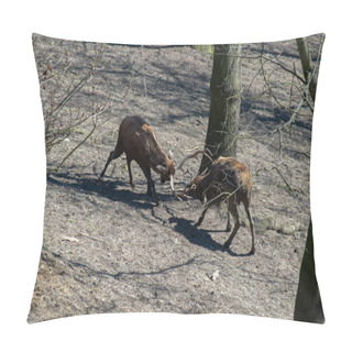 Personality  Thorold's Deer,Cervus Albirostris Pillow Covers