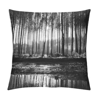Personality  Tree Trunks And Sun Rays Pillow Covers
