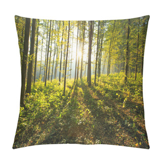 Personality  Forest  Trees Background Pillow Covers