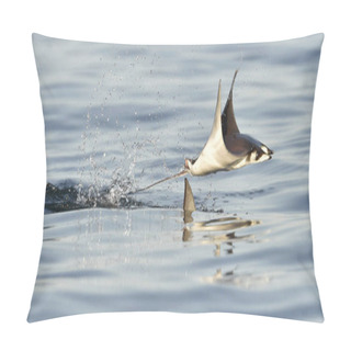 Personality  Mobula Ray Jumping Out Of Water Pillow Covers