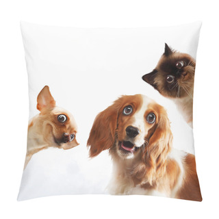 Personality  Three Home Pets Pillow Covers