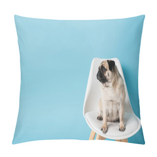 Personality  Pug Dog Sitting On White Chair And Looking Away On Blue Background With Copy Space Pillow Covers