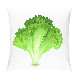 Personality  Green Salad Leaves Isolated On White Vector Pillow Covers