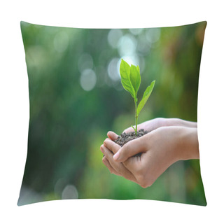 Personality  Environment Earth Day In The Hands Of Trees Growing Seedlings. Bokeh Green Background Female Hand Holding Tree On Nature Field Grass Forest Conservation Concept Pillow Covers