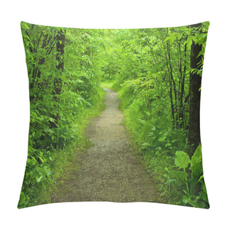 Personality  Walking Path In The Forest Pillow Covers