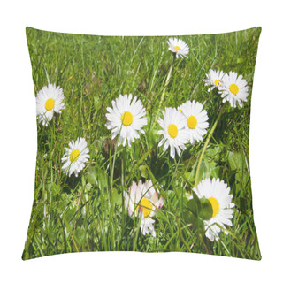 Personality  Daisies In The Grass Pillow Covers