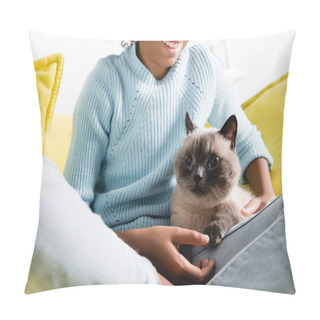 Personality  Cropped View Of Smiling African American Girl With Crossed Legs, Stroking Cat Lying On Sofa At Home Pillow Covers