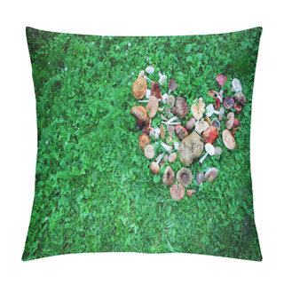 Personality  Wild Mushrooms Displayed In Heart Shape Pillow Covers