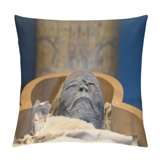 Personality  Egyptian Mummy Pillow Covers