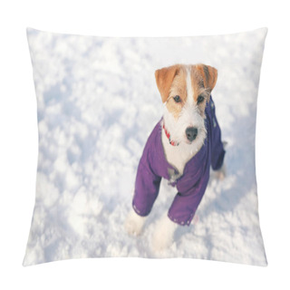 Personality  Cute Funny Dog Pillow Covers