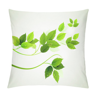 Personality  Spring Branch With Fresh Green Leaves Pillow Covers