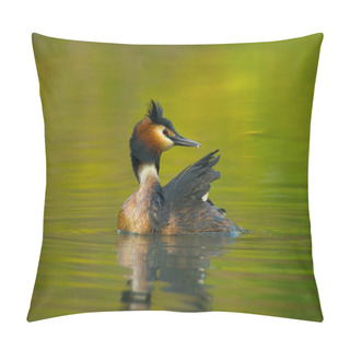 Personality  Wildlife Scene With Beautiful Water Bird With Reflection On Pond Or River Background Pillow Covers