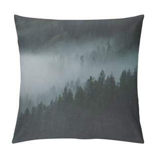 Personality  Low Cloud In Alpine Dark Forest. Aerial Atmospheric Mountain Landscape In Foggy Woods. View From Above To Misty Forest Hills. Dense Fog Among Coniferous Trees In Highlands. Hipster, Vintage Tones. Pillow Covers