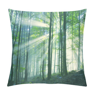 Personality  Beautiful Sunny Morning Forest Pillow Covers
