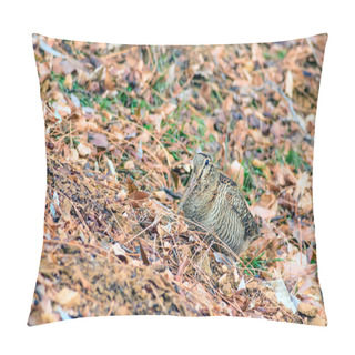 Personality  Woodcock. Camouflage Bird. Brown Dry Leaves. Bird: Eurasian Woodcock. Scolopax Rusticola. Pillow Covers