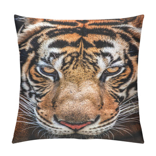 Personality  Tiger And His Eyes Fierce. Pillow Covers