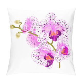 Personality  Branch Orchids   Purple And White Flowers  Phalaenopsis Tropical Plant On A White Background  Vintage Vector Botanical Illustration For Design Hand Draw  Pillow Covers