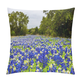 Personality  Famous Texas Bluebonnet (Lupinus Texensis) Wildflowers. Pillow Covers