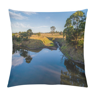 Personality  Trees Reflecting In Smooth Water Surface At Sunset In Australia Pillow Covers