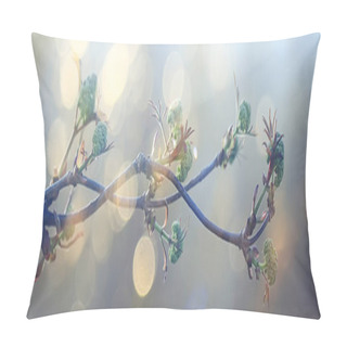 Personality  Abstract Sunny Day Background In Spring Forest, Branches With Buds And Young Leaves In The Sunlight Pillow Covers