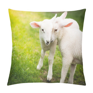 Personality  Two Lambs Cuddling On The Green Field Pillow Covers