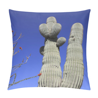Personality  Red Flowers And Saguaro Cactus Pillow Covers