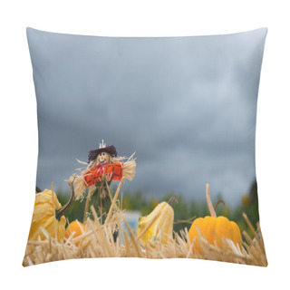 Personality  Halloween Scarecrow Pillow Covers