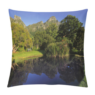 Personality  Pond In Kirstenbosch Botanical Garden Pillow Covers