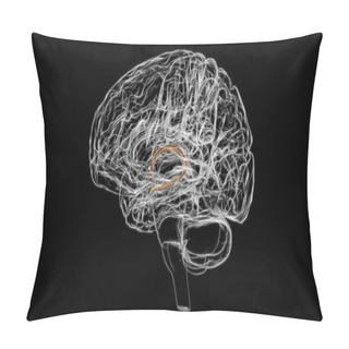 Personality  Brain Stria Terminalis Anatomy For Medical Concept 3D Illustration Pillow Covers