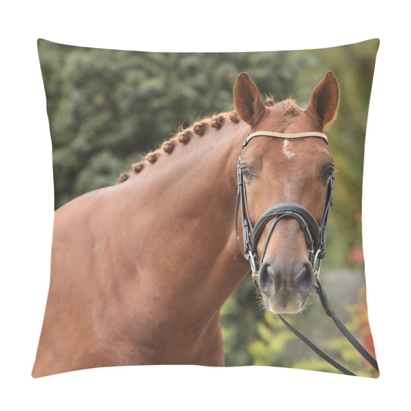 Personality  Nice big horse with perfect hair style pillow covers