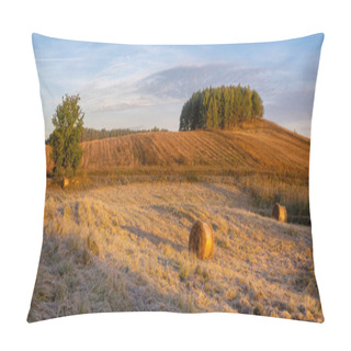 Personality  Scenic View Of Fields And Meadows At Sunny Morning Pillow Covers