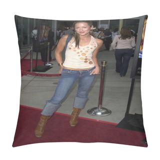 Personality  Danneel Pillow Covers