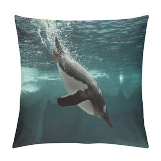 Personality  Gentoo Penguin Swim Underwater  Pillow Covers