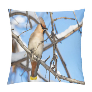 Personality  Waxwing At The Tree Pillow Covers