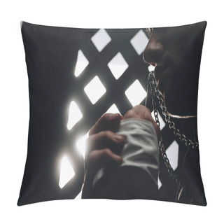 Personality  Cropped View Of Catholic Priest Kissing Cross On His Necklace Near Confessional Grille In Dark With Rays Of Light Pillow Covers