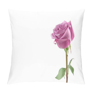 Personality  Purple Rose With Copy Space Pillow Covers