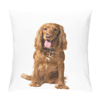 Personality  Dog Cocker Isolated On White Pillow Covers