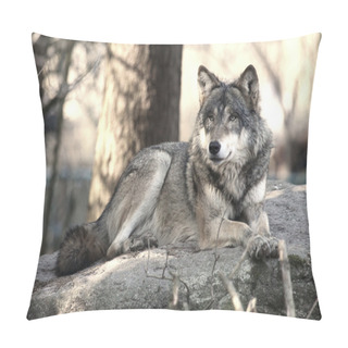 Personality  Wild Wolf Pillow Covers