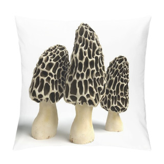 Personality  Morel Mushrooms Pillow Covers