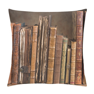 Personality  Antique Books In A Row Pillow Covers