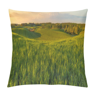 Personality   High Resolution Panorama Of The Spring Field Of Young Green Cereal Illuminated By The First Rays Of The Rising Sun Pillow Covers