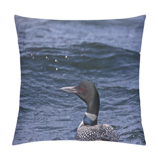 Personality  Close Up Shot Of A Loon Swimming Pillow Covers