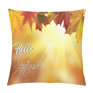 Personality  Colorful Autumn Leaves  Pillow Covers