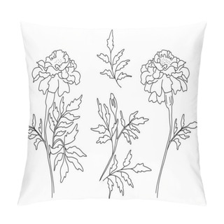 Personality  Set Of Flowers Marigolds, Branch With Blooming Marigolds With Leaves, Bud And Leaf. Vector Illustration. Linear Hand Drawing, Sketch Of Seasonal Plant For Design, Decor And Decoration Pillow Covers