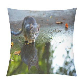 Personality  Cat Sitting At The Edge Of Rain Puddle. Reflection In The Water Pillow Covers