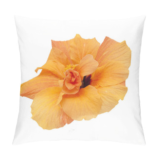 Personality  Single Orange Hibiscus Pillow Covers
