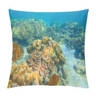 Personality  Huge Striped Brown Colorful Tridacna Clams And Sea Urchins On The Coral Reef Underwater Tropical Exotic World Pillow Covers